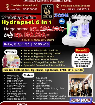 WORKSHOP ONLINE HYDRAPEEL 6IN1