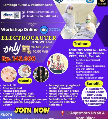 WORKSHOP ONLINE ELECTROCAUTER
